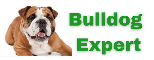 bulldogexpert.com